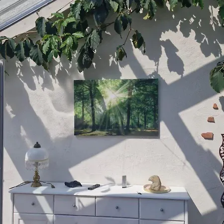 Opas Gewaechshaus * Bad Laasphe