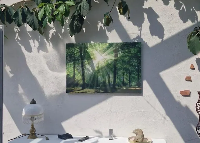 Opas Gewaechshaus * Bad Laasphe